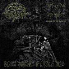 Slow And Painful Mental Wounds : Endless Nightmares of a Vicious Circle (Split)